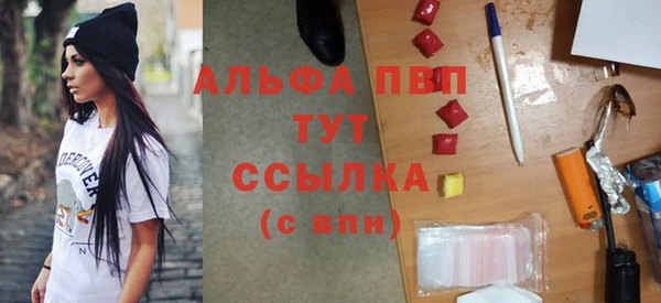сатива Надым