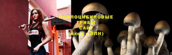 таблы Нея