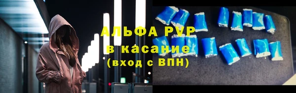 сатива Надым