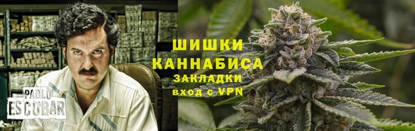 сатива Надым