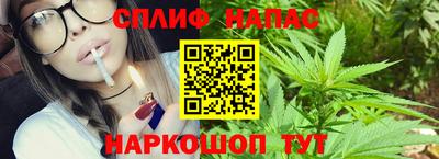 спайс Кинель