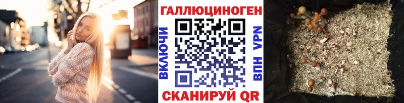 Псилоцибиновые грибы GOLDEN TEACHER  Нарткала 