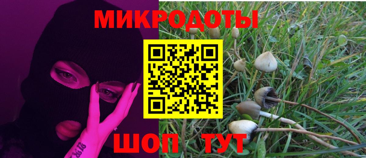 Псилоцибиновые грибы MAGIC MUSHROOMS Нарткала