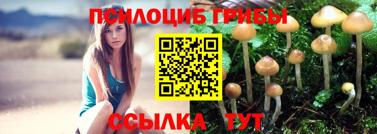 Нарткала  Псилоцибиновые грибы ЛСД  Вход с VPN 